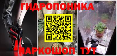 альфа пвп Аргун