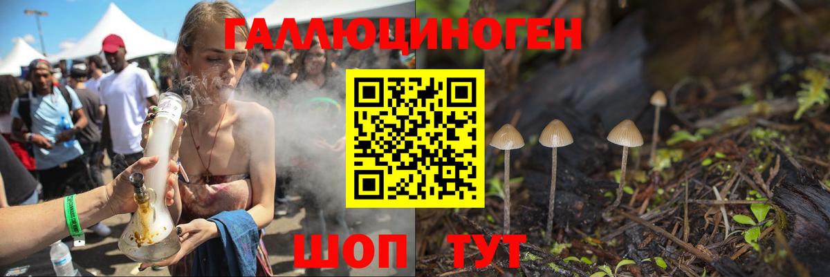 Псилоцибиновые грибы Psilocybe Барнаул